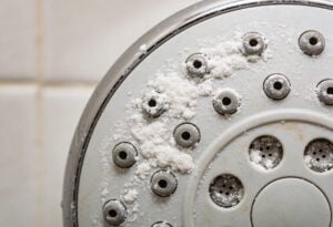 Verkalkter Duschkopf vor dem Entkalken mit sichtbaren Kalkablagerungen