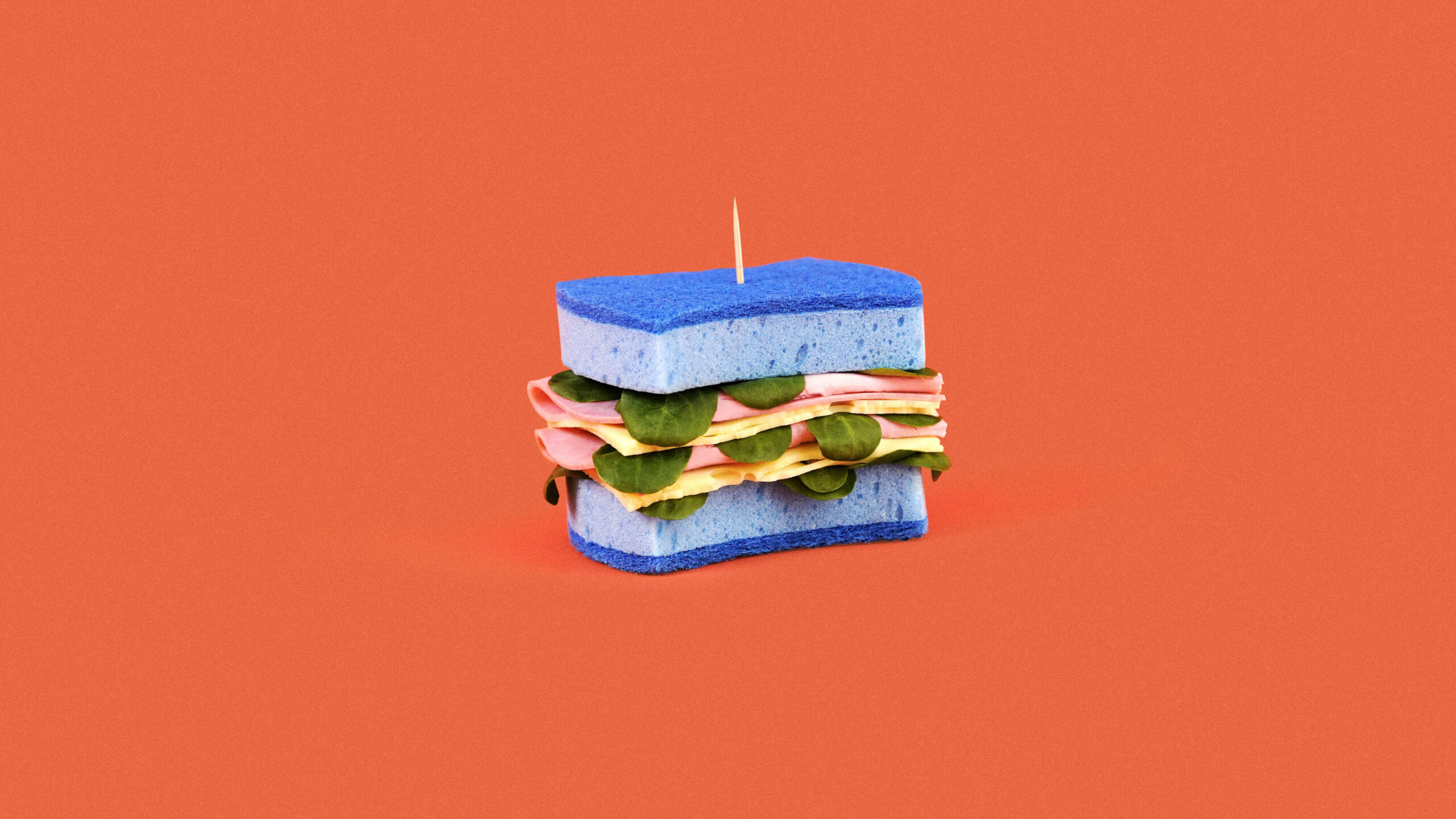 sponge that looks like sandwich